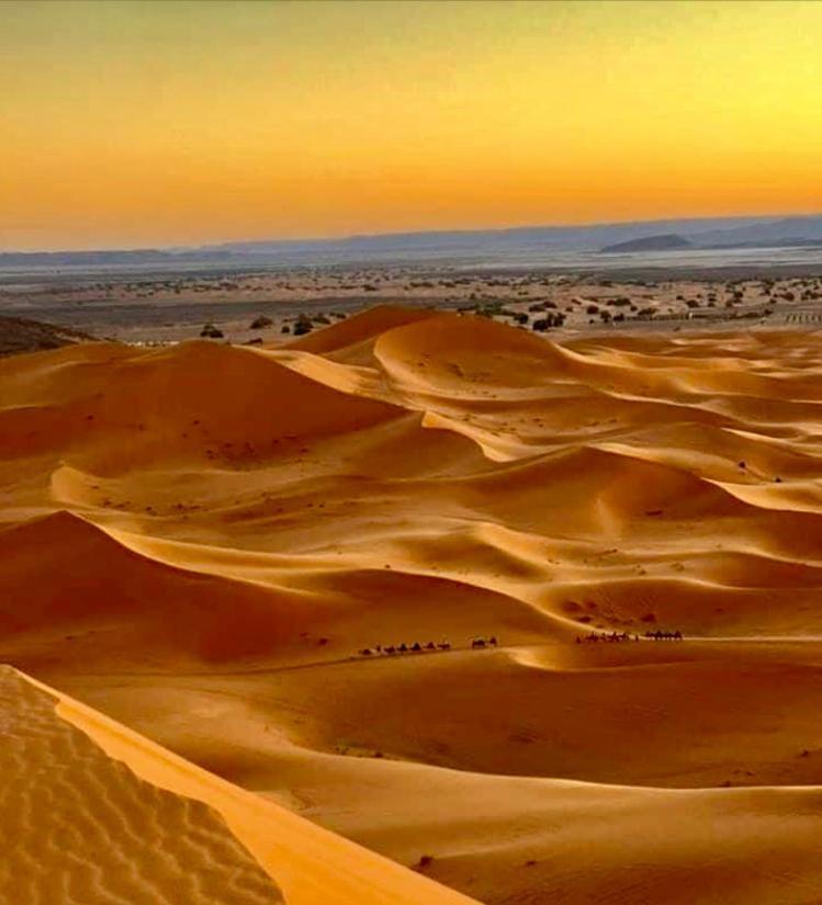 Auberge L'Oasis Mhamid M'Hamid Dış mekan fotoğraf