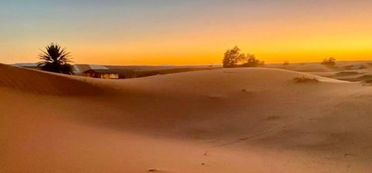 Auberge L'Oasis Mhamid M'Hamid Dış mekan fotoğraf