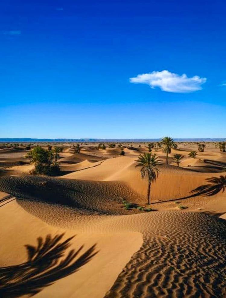 Auberge L'Oasis Mhamid M'Hamid Dış mekan fotoğraf